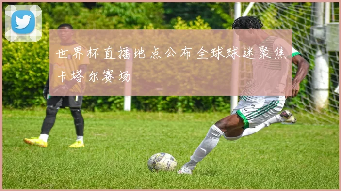 世界杯直播地点公布全球球迷聚焦卡塔尔赛场