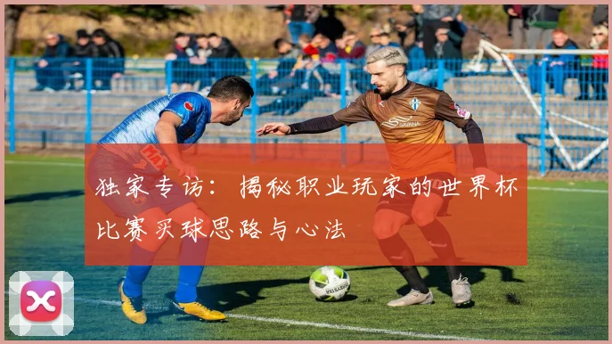 独家专访:揭秘职业玩家的世界杯比赛买球思路与心法