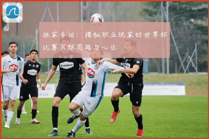 独家专访:揭秘职业玩家的世界杯比赛买球思路与心法