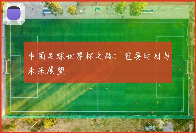 中国足球世界杯之路：重要时刻与未来展望