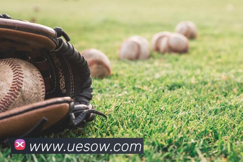 爱体育登陆地址平台生态图